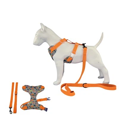 Postroj pro psy dinosaurů