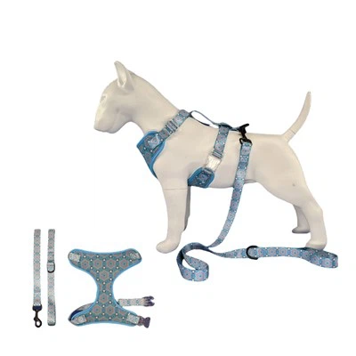 Psí postroj na procházky