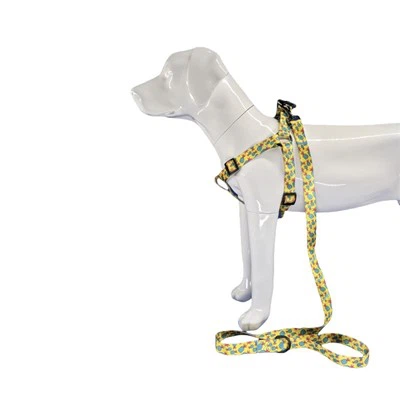 Ananasový postroj pro psy