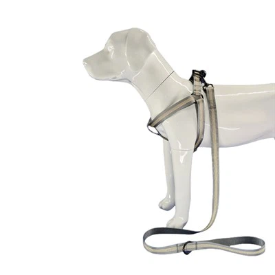 Reflexní šedý postroj pro psy