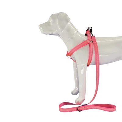 Reflexní Hot Pink Postroj pro psy